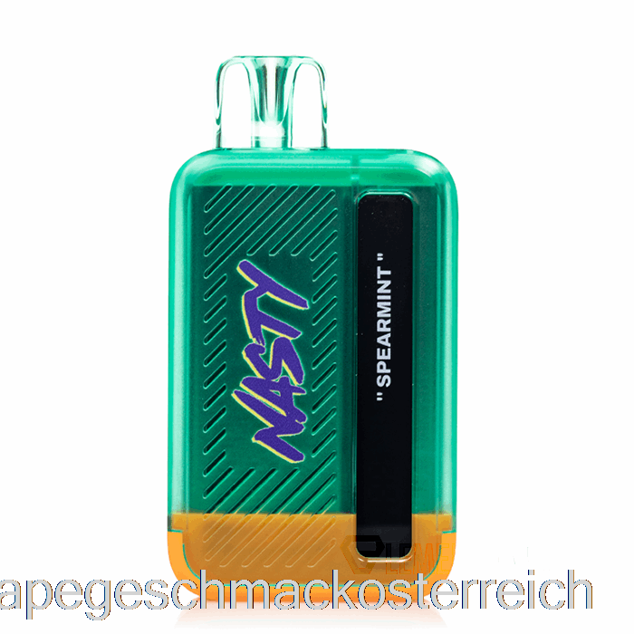 Nasty Bar DX8.5i 8500 Einweg-Spearmint-Vape-Geschmack